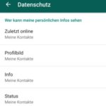 Wie kann man sich in WhatsApp immer online anzeigen?