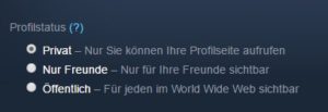 Steam Spielzeit ausblenden durch privat stellen