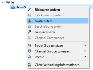 TS3 Avatar setzen